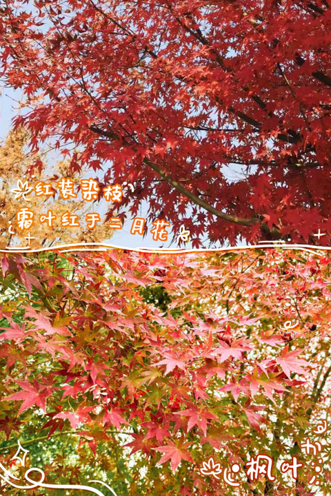 1765779116850159.png 图片1.png