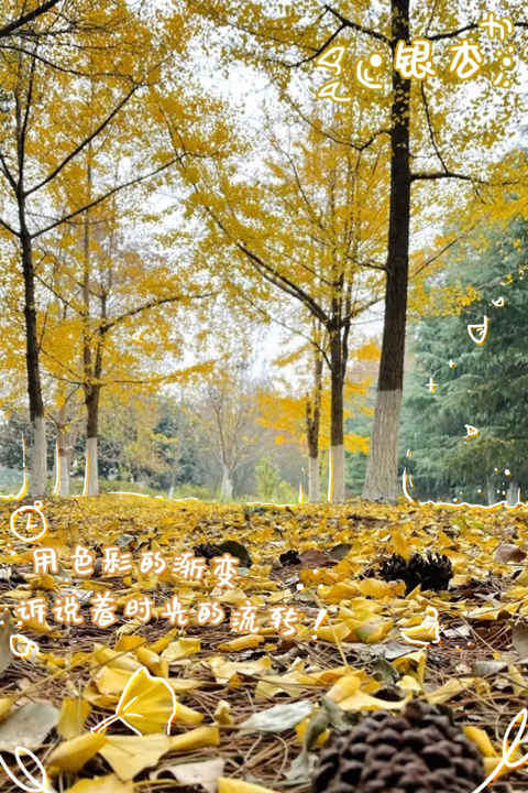 1765779137293692.png 图片3.png