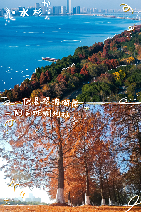 1765779148269536.png 图片4.png