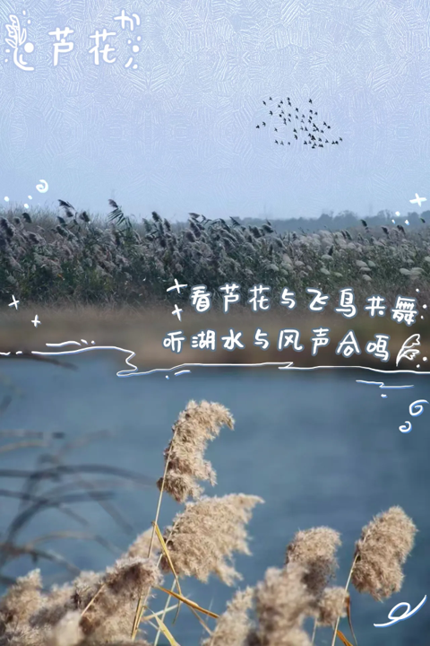 1765779158754194.png 图片5.png