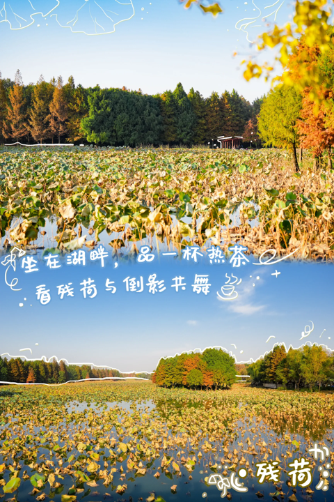 1765779171523130.png 图片6.png